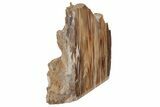 Colorful, Polished Petrified Wood Stand-up - Washington #210830-2